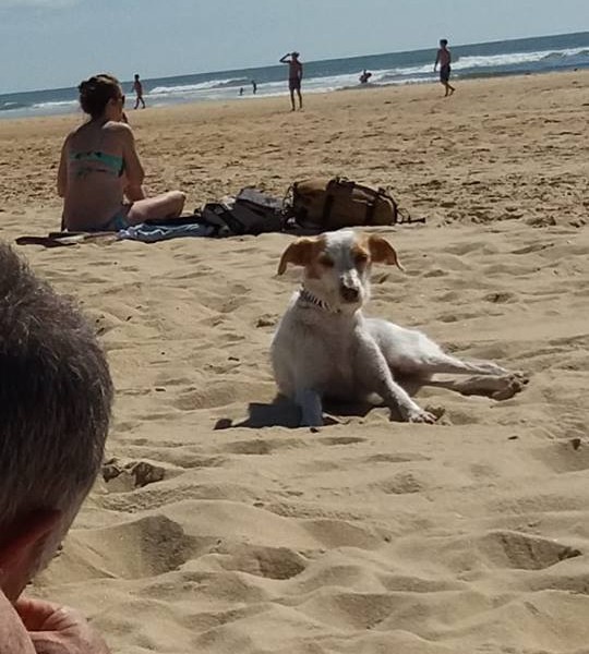 Larín disfrutando de la playa.