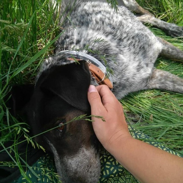 Tabita, por fin ha llegado la familia que esperábamos.