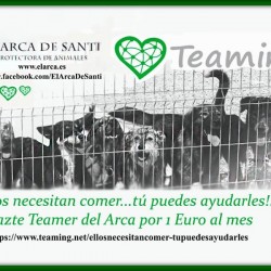 Apúntate a ser uno de nuestros Teamers!