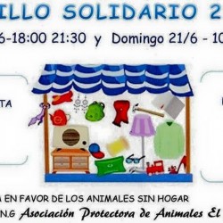 I Mercadillo Solidario.