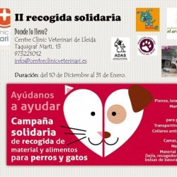 II Recogída solidaria en Lerida