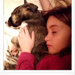 Viola, una de las cachorritas de Viana.