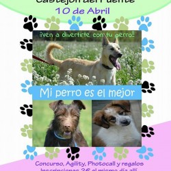 IV Encuentro canino.