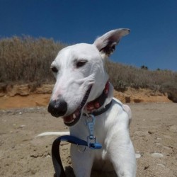 Leroy de vacaciones con su familia de acogida.