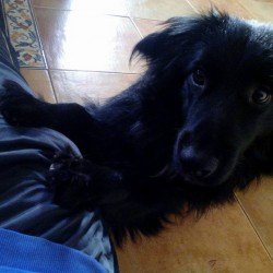 Enol, ahora Kairo.